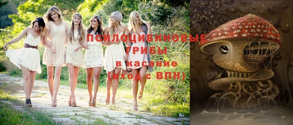 эйфоретик Бронницы