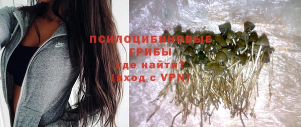 соль ск Верхнеуральск