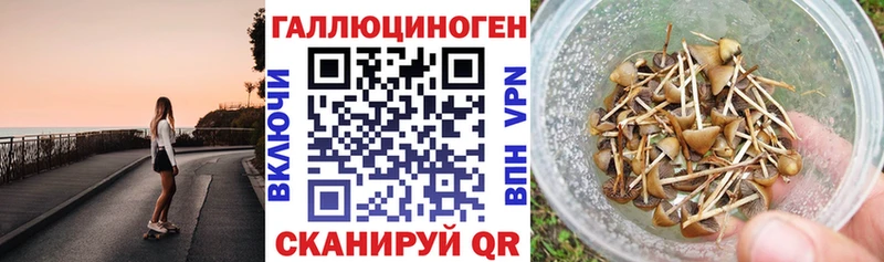 Галлюциногенные грибы мицелий  MEGA вход  Мончегорск 